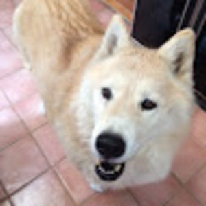 Meet your Posher, Cheri